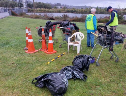 Albany Lakes Clean Up